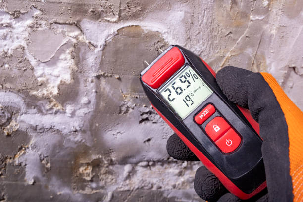 Best Mold Remediation  in Upper Exeter, PA