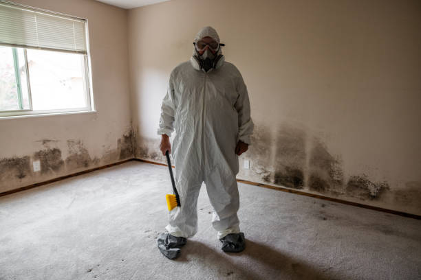 Best Mold Remediation Experts  in Upper Exeter, PA