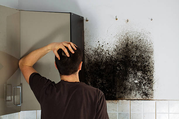 Best Crawl Space Mold Removal  in Upper Exeter, PA